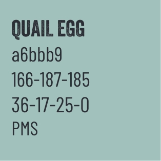 Quail Egg