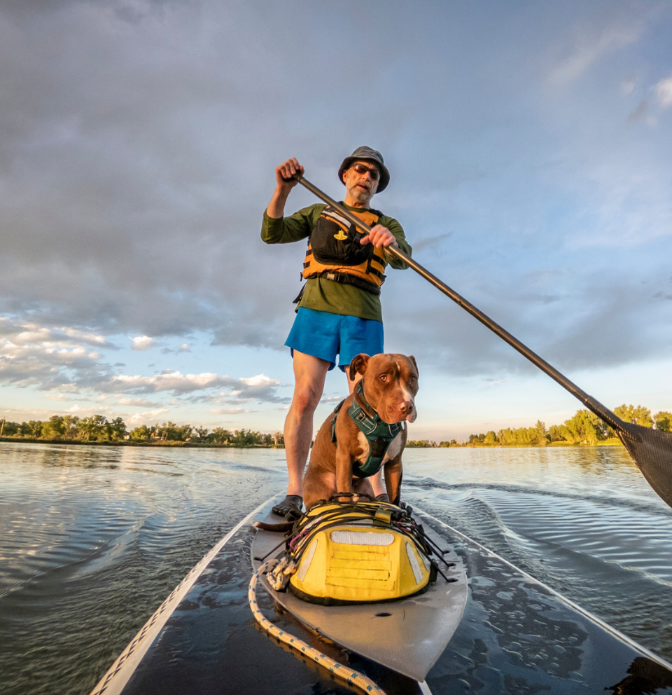 Man and Dog on Paddleboard